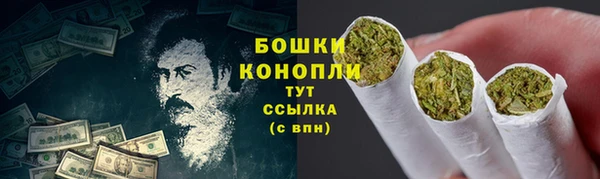 сатива Алзамай