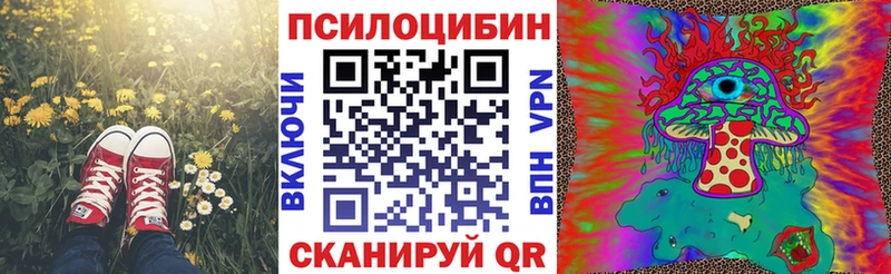 Псилоцибиновые грибы GOLDEN TEACHER  даркнет Telegram  Яблоновский  где купить наркотик 